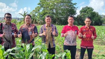 Hidayat dan Jajaran Pastikan Ketahanan Pangan di Lapas Pangkalpinang Dengan Berkebun Jagung