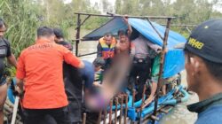 Konflik Buaya-Manusia Kembali Memakan Korban Jiwa ,Kali Ini Penambang Timah di Belitung Tewas Diterkam Buaya