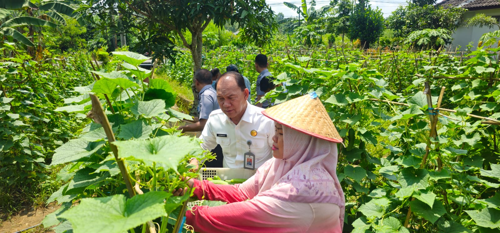 Ketahanan Pangan