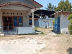 Satgas Baraksi , Kolektor Timah Belari