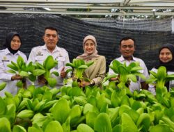 Ketahanan Pangan Lapas Pangkalpinang Tuai Apresiasi Direktur RSUD Depati Hamzah