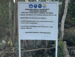 UBB Dorong Peran Masyarakat Lindungi Arwana Kelesak di Bangka Barat